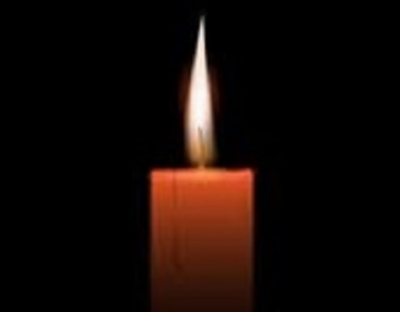 Dr Nick Vitale Birmingham MI Obituary Death - Wilson Veterinary Hospital Surgeon Nicholas Vitale